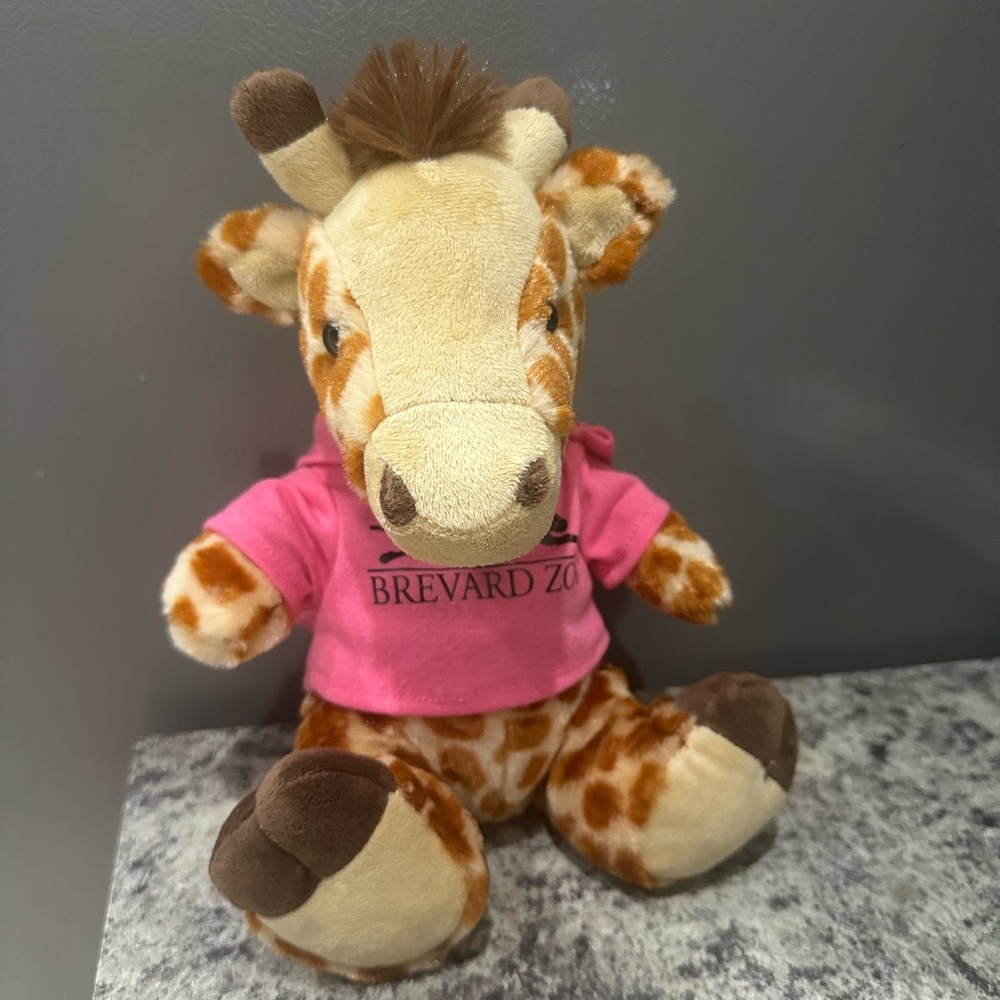 Giraffe Plush Toy From Brevard Zoo FL Wearing Shirt Stuffed AnimalPink and Brown